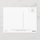 Don Cesar - Het roze kasteel van Florida Briefkaart (Achterkant)