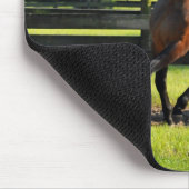 Don diego Side Pass Muismat (Hoek)