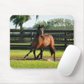 Don diego Side Pass Muismat (Met muis)