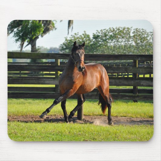 Don diego Side Pass Muismat (Voorkant)