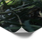 Don Juan Wolf Poster (Hoek)