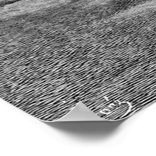 Don Quixote en Sancho Panza Illustratie Poster (Hoek)