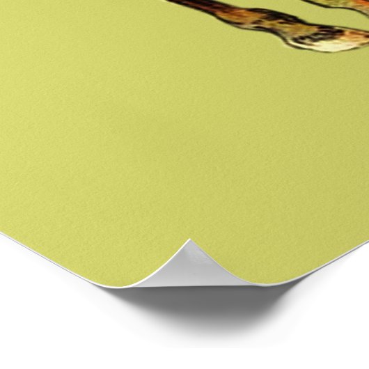 Don Quixote en Sancho Panza Poster (Hoek)