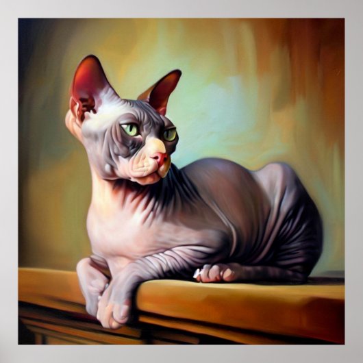 Don Sphynx Cat Poster (Voorkant)