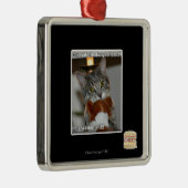 Don ziet er metalen ornament (Rechts)