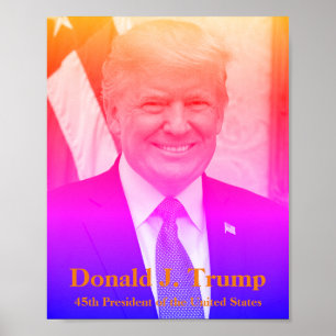 Donald J. Trump, 45e President van de Verenigde St Poster