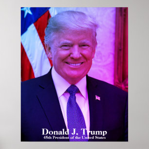Donald J. Trump, 45e President van de Verenigde St Poster