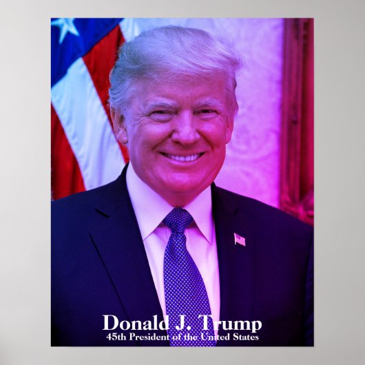 Donald J. Trump, 45e President van de Verenigde St Poster (Voorkant)