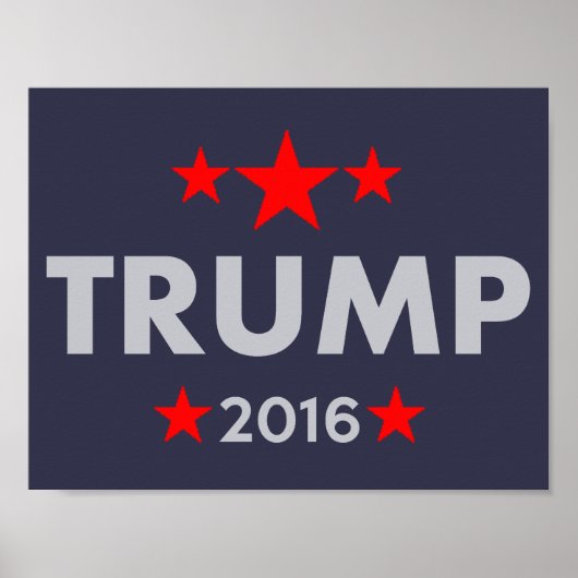 Donald Trump 2016 Poster (Voorkant)