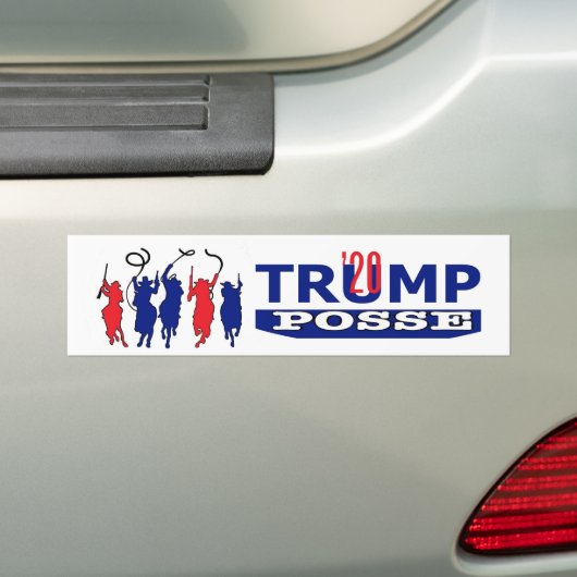 Donald TRUMP 2020 Bumpersticker (Op auto)