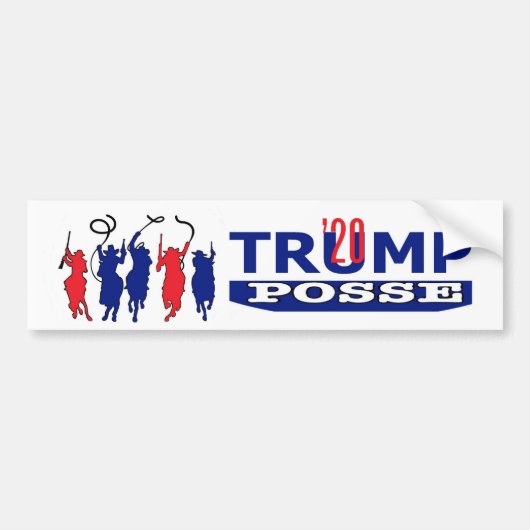 Donald TRUMP 2020 Bumpersticker (Voorkant)