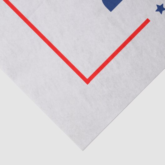 Donald Trump 2024 Neem Amerika terug Tissuepapier (Detail)