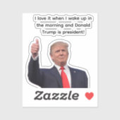 Donald Trump 2024 Sticker (Vel)