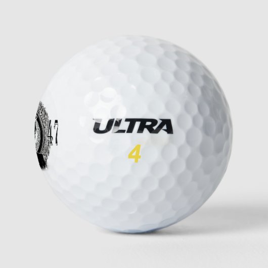 Donald Trump 45/47 Golfballen (Logo)