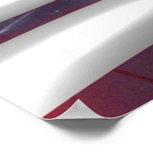 Donald Trump American Flag Poster (Hoek)