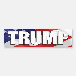 DONALD TRUMP BOLD American Flag Bumpersticker