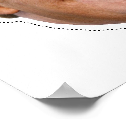 Donald Trump Costume Poster (Hoek)