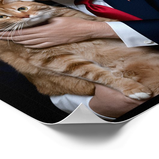 Donald Trump En Kat Grappig Trump En Kat Poster (Hoek)