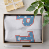 Donald Trump Foto - Trump 2024 Houd Amerika groot Tissuepapier (Geschenk)