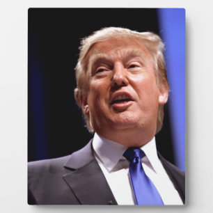 Donald Trump Fotoplaat
