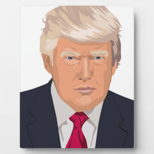 DONALD TRUMP FOTOPLAAT
