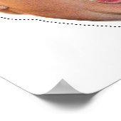 Donald Trump Mask Cutout Poster (Hoek)