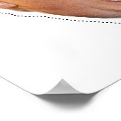 Donald Trump Mask Poster (Hoek)