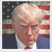 Donald Trump Mok Shot Sticker met American Flag (Vel)