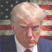 Donald Trump Mok Shot Sticker met American Flag (Voorkant)