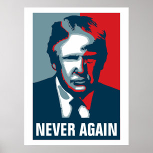 Donald Trump NOEVER NOOIN Poster