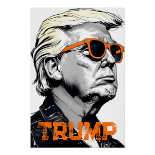 Donald Trump Perfect Poster