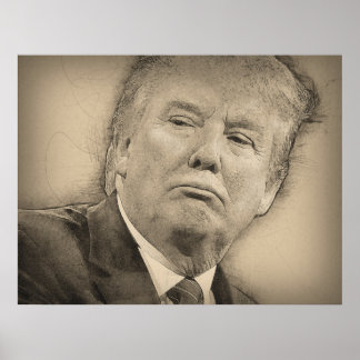 Donald Trump Poster