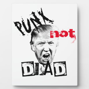 DONALD TRUMP - PUNX NIET DOOD! FOTOPLAAT