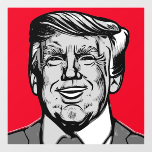 DONALD TRUMP RAAMSTICKER (Vel)