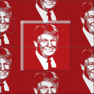 DONALD TRUMP STOF