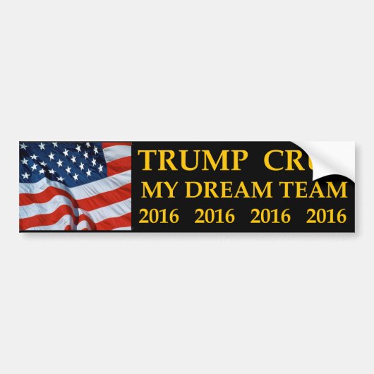 Donald Trump Ted Cruz, mijn droomteam bumper stick Bumpersticker (Voorkant)