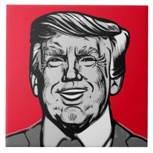 DONALD TRUMP TEGELTJE