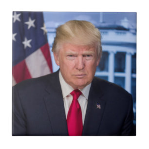 DONALD TRUMP TEGELTJE