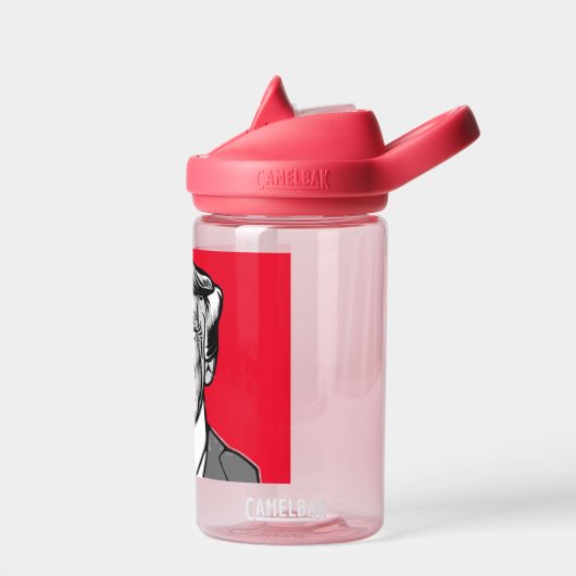 DONALD TRUMP WATERFLES (Links)