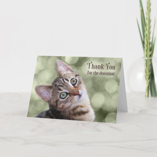 Donatie Dank je Tabby Kitten Kaart (Voorkant)