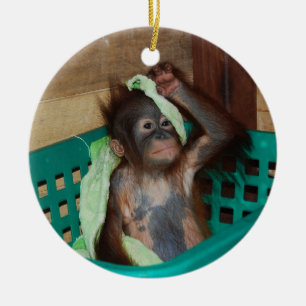 Donaties van dierenliefdadigheid keramisch ornament