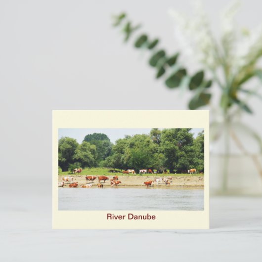 Donau Briefkaart (Staand voorkant)