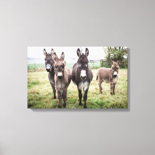 Donausleutels Canvas Afdruk