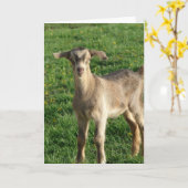 Donder bij één week oud kaart (Gele Bloem)