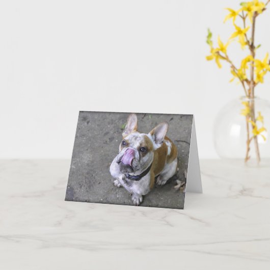 Donder de Wenskaarten van de Buldog Kaart (Gele Bloem)