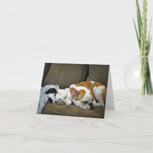 Donder de Wenskaarten van de Buldog Kaart