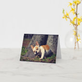 Donder de Wenskaarten van de Buldog Kaart (Gele Bloem)