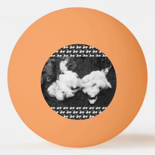 donder pluizig pingpongbal (Voorkant)
