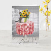 Donderdag met kat met zonnebloem kaart (Gele Bloem)