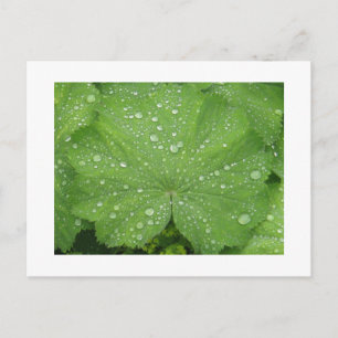 Donderdag op een Briefkaart met groene lederen